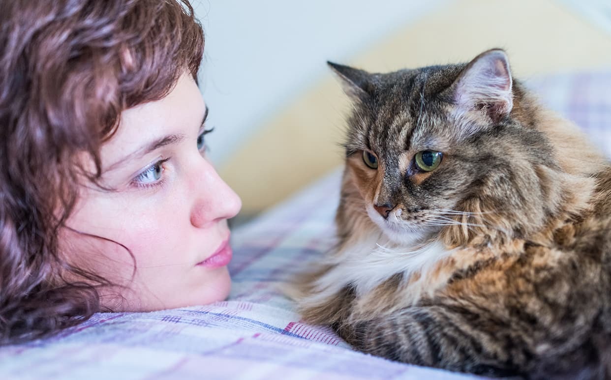 Can We Communicate Telepathically With Our Pets?