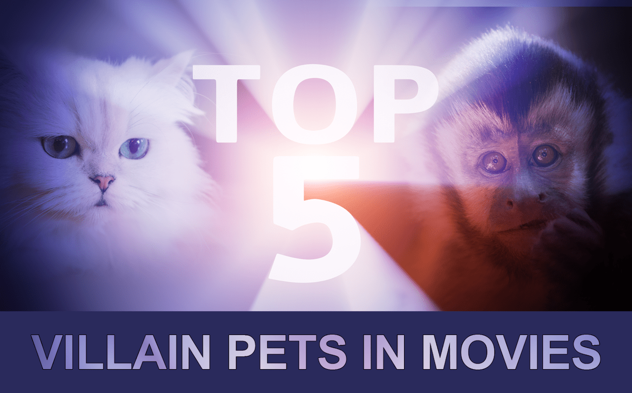 Top Five Villain Pets In Movies