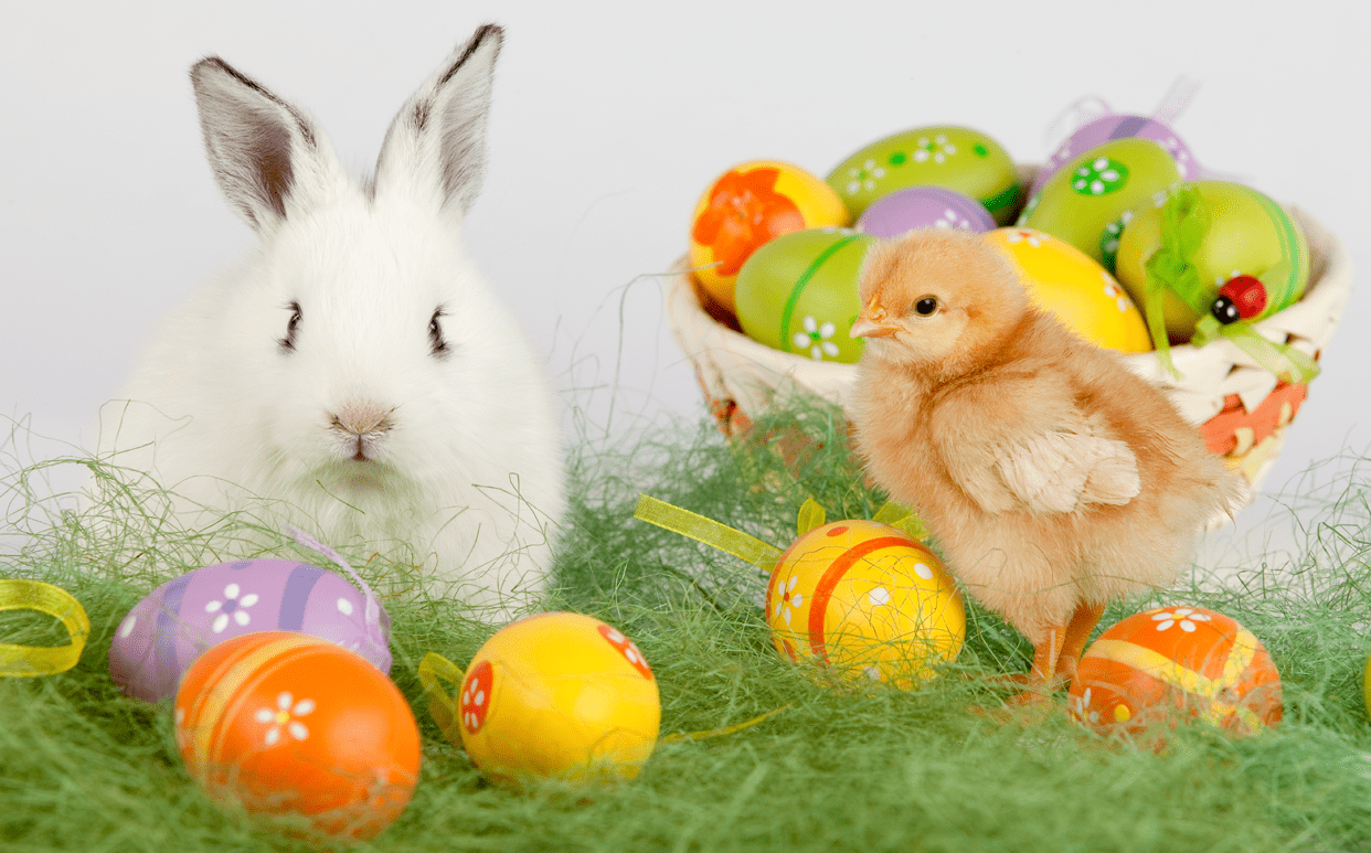 Ancient Origins of Easter