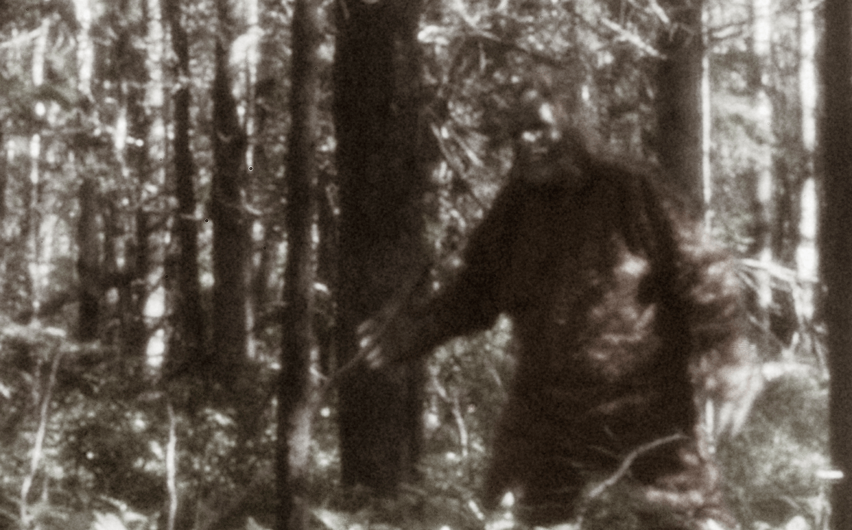 Researchers Say Bigfoot Exists!