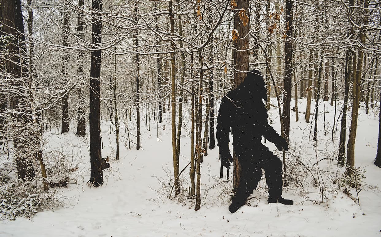 Monster Spotlight: Bigfoot