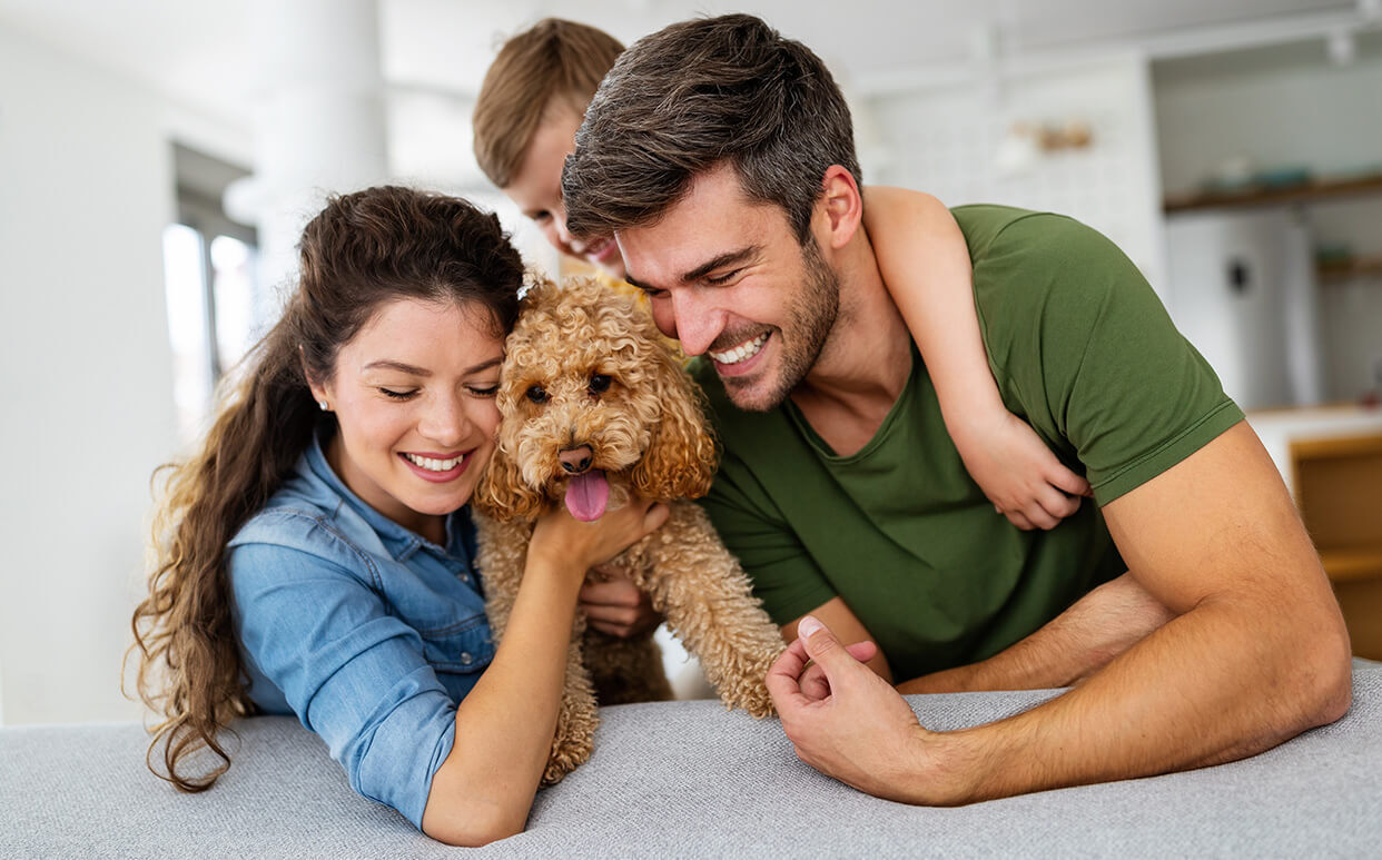 Pet Adoption Tips